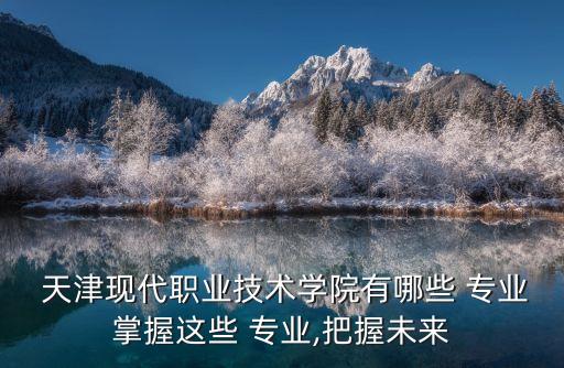  天津現(xiàn)代職業(yè)技術(shù)學(xué)院有哪些 專業(yè)掌握這些 專業(yè),把握未來