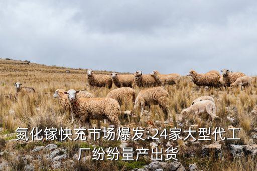 東莞電池自動化設(shè)備生產(chǎn)廠家,光伏自動化設(shè)備生產(chǎn)廠家排名