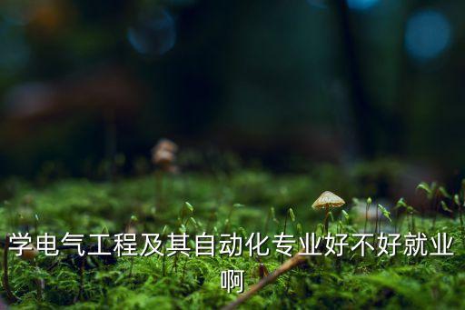 學(xué)電氣工程及其自動(dòng)化專業(yè)好不好就業(yè)啊