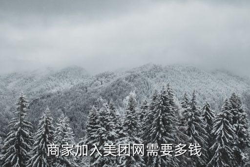 美團(tuán)點評 用戶數(shù)據(jù)泄露,美團(tuán)要求用戶點評必須填寫訂單號