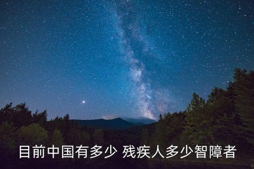 目前中國有多少 殘疾人多少智障者