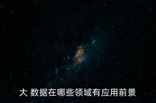 大 數(shù)據(jù)在哪些領域有應用前景