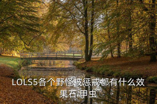 石甲蟲