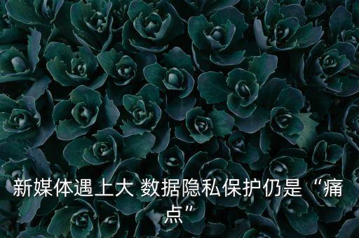 新媒體遇上大 數據隱私保護仍是“痛點”
