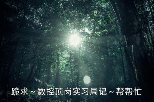 跪求～數控頂崗實習周記～幫幫忙