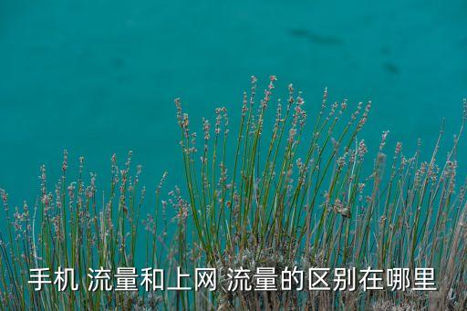 手機(jī) 流量和上網(wǎng) 流量的區(qū)別在哪里