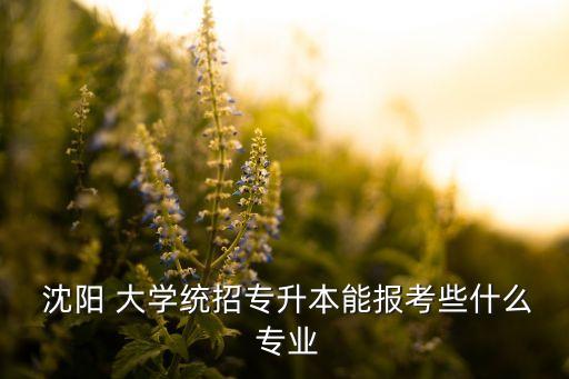 沈陽大學中外自動化專業(yè)