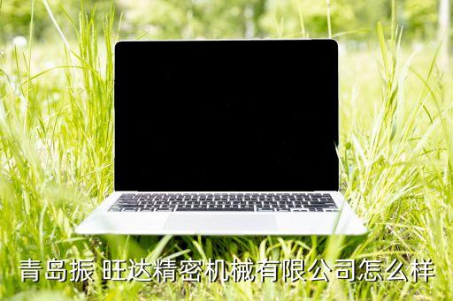 青島振 旺達(dá)精密機(jī)械有限公司怎么樣