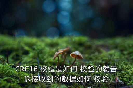 CRC16 校驗是如何 校驗的就告訴接收到的數據如何 校驗