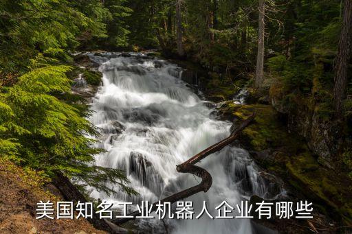 美國知名工業(yè)機器人企業(yè)有哪些