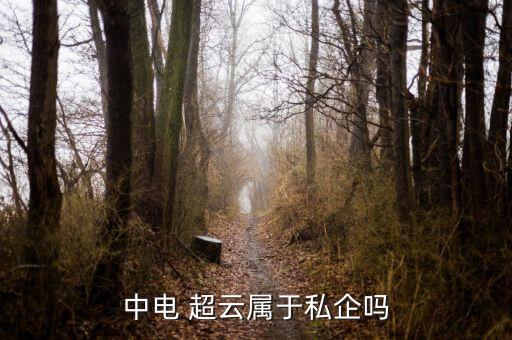 中電 超云屬于私企嗎