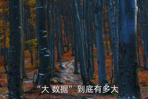 “大 數(shù)據(jù)”到底有多大