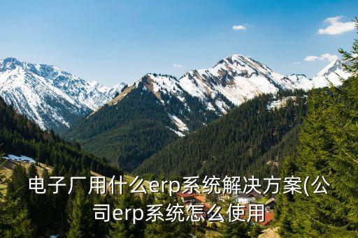 電子廠用什么erp系統(tǒng)解決方案(公司erp系統(tǒng)怎么使用