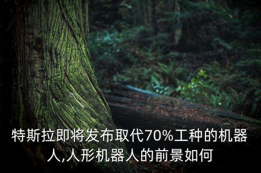 特斯拉即將發(fā)布取代70%工種的機器人,人形機器人的前景如何
