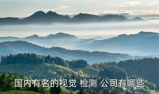 國內(nèi)有名的視覺 檢測 公司有哪些
