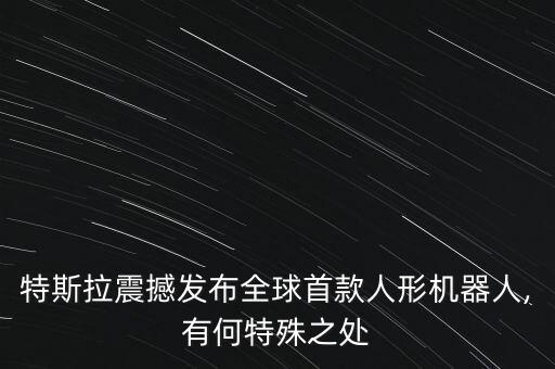 馬斯克演講,馬斯克打造擎天柱靠譜嗎?
