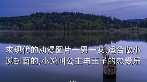 求現(xiàn)代的動(dòng)漫圖片一男一女,適合做小說(shuō)封面的,小說(shuō)叫公主與王子的戀愛(ài)樂(lè)...