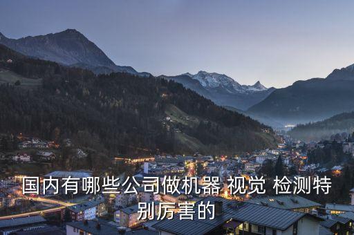 國內(nèi)有哪些公司做機器 視覺 檢測特別厲害的