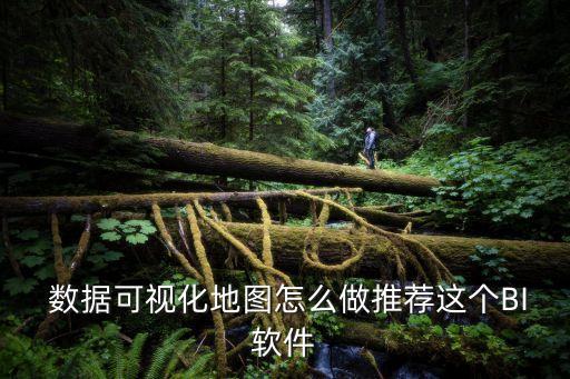  數(shù)據(jù)可視化地圖怎么做推薦這個(gè)BI軟件