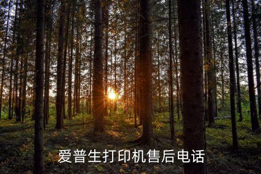  愛普生打印機(jī)售后電話