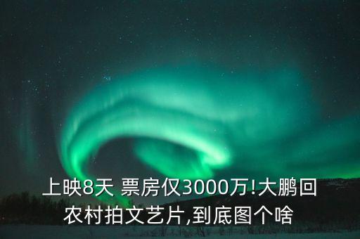 上映8天 票房?jī)H3000萬(wàn)!大鵬回農(nóng)村拍文藝片,到底圖個(gè)啥