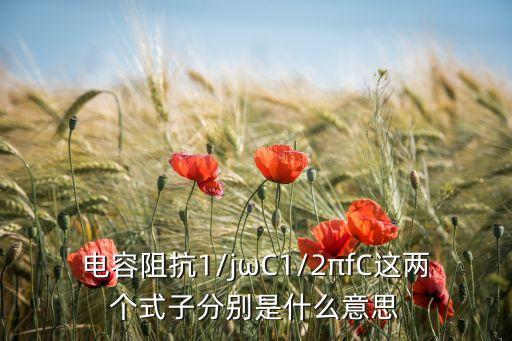 電容阻抗1/jωC1/2πfC這兩個式子分別是什么意思