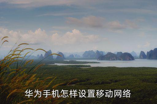 始終開啟移動(dòng)數(shù)據(jù)網(wǎng)絡(luò),如何禁止手機(jī)移動(dòng)網(wǎng)絡(luò)自動(dòng)開啟?