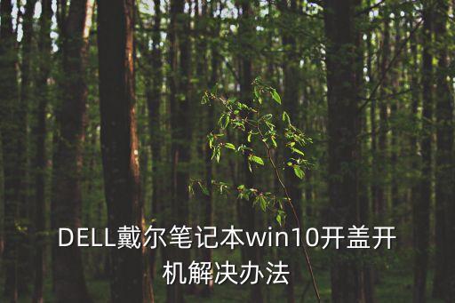 筆記本開蓋自動(dòng)化設(shè)備,筆記本開蓋自動(dòng)開機(jī)怎么操作方法