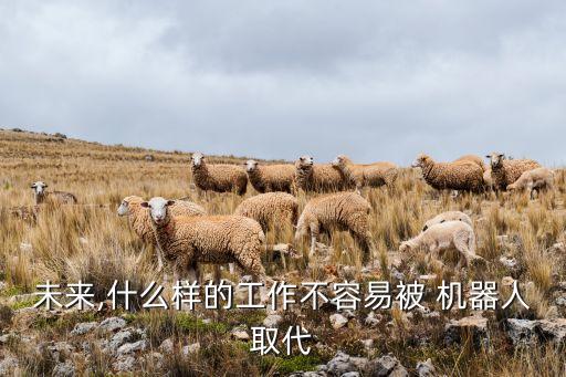 機(jī)器人無(wú)法替代的職業(yè)有哪些,教師這個(gè)職業(yè)會(huì)被機(jī)器人所替代嗎