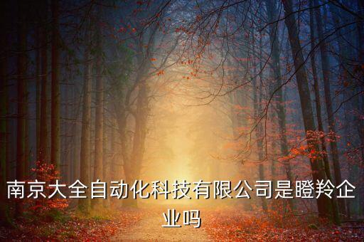 南京大全自動化科技有限公司是瞪羚企業(yè)嗎