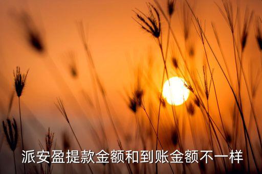  派安盈提款金額和到賬金額不一樣