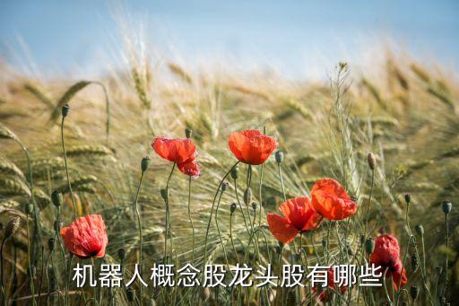 機(jī)器人概念股龍頭股有哪些