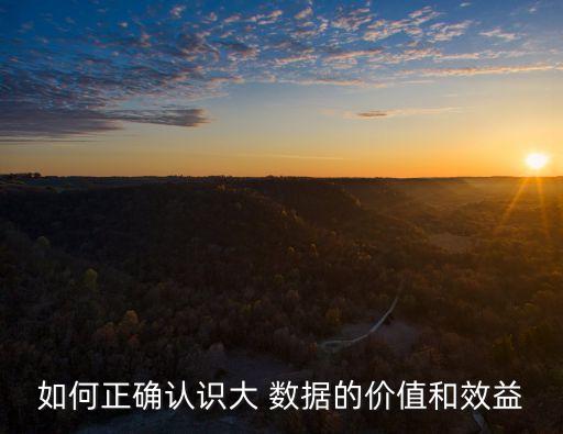如何正確認識大 數(shù)據(jù)的價值和效益