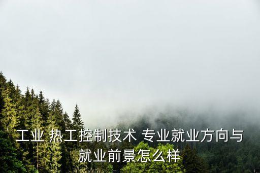 工業(yè) 熱工控制技術(shù) 專業(yè)就業(yè)方向與就業(yè)前景怎么樣