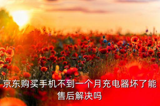 京東購買手機(jī)不到一個月充電器壞了能售后解決嗎
