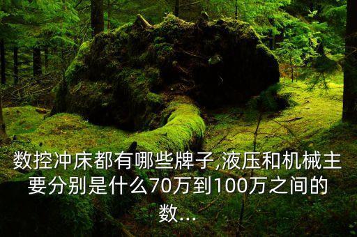 文安沖床自動(dòng)化設(shè)備,怎么維修沖床自動(dòng)送料器?