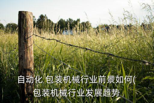  自動(dòng)化 包裝機(jī)械行業(yè)前景如何( 包裝機(jī)械行業(yè)發(fā)展趨勢(shì)