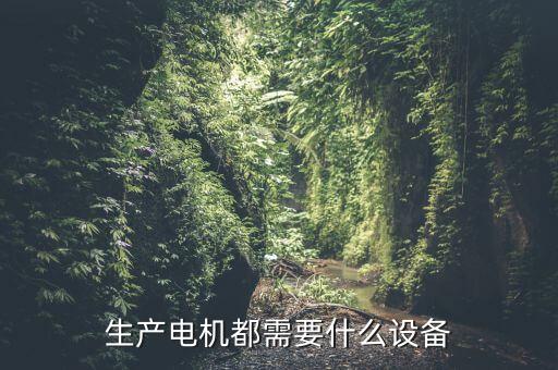 生產(chǎn)電機(jī)都需要什么設(shè)備