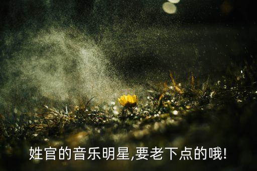 官琳,湖北電視臺主持人官琳