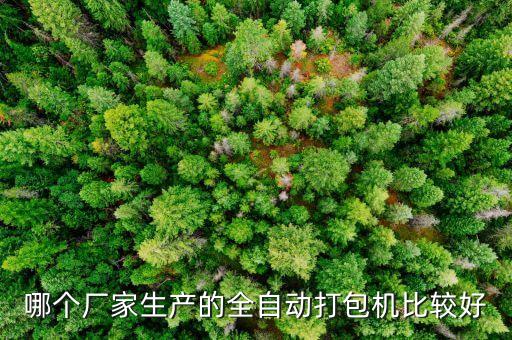 哪個(gè)廠家生產(chǎn)的全自動(dòng)打包機(jī)比較好
