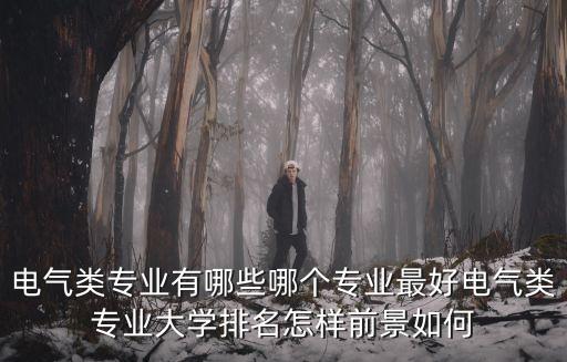 學(xué)電氣自動(dòng)化去哪個(gè)專業(yè)好,電氣自動(dòng)化技術(shù)專業(yè)好嗎?