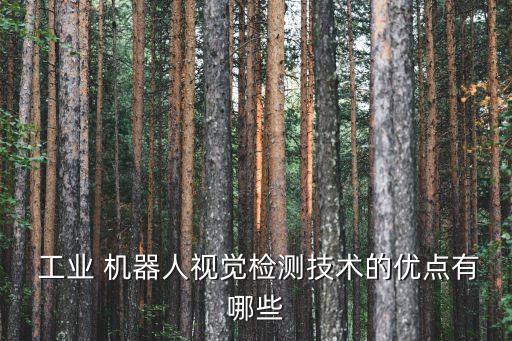  工業(yè) 機(jī)器人視覺(jué)檢測(cè)技術(shù)的優(yōu)點(diǎn)有哪些