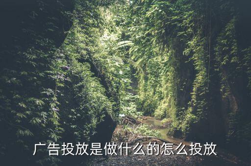 廣告投放是做什么的怎么投放