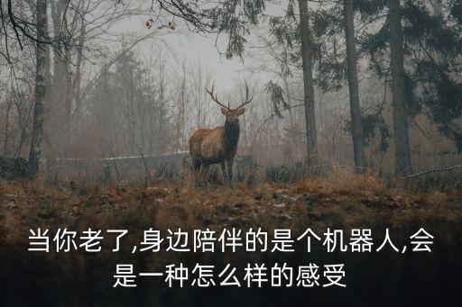 機器人 渝北龍山 養(yǎng)老院,德國養(yǎng)老院機器人分類