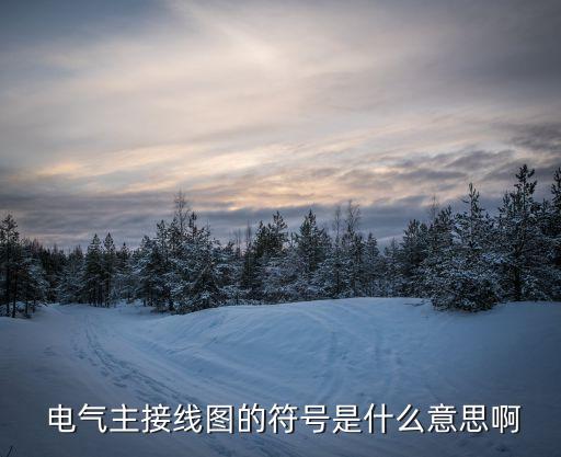  電氣主接線圖的符號(hào)是什么意思啊