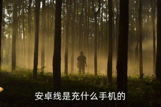 安卓線是充什么手機(jī)的