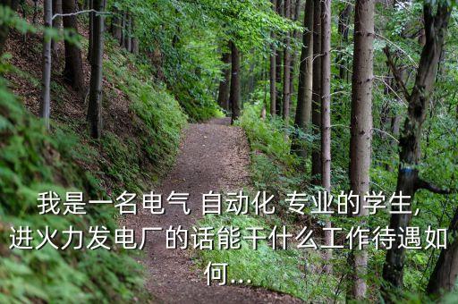我是一名電氣 自動化 專業(yè)的學(xué)生,進(jìn)火力發(fā)電廠的話能干什么工作待遇如何...