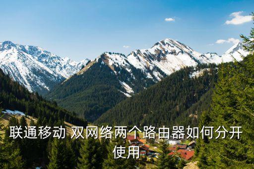 聯(lián)通移動(dòng) 雙網(wǎng)絡(luò)兩個(gè)路由器如何分開使用