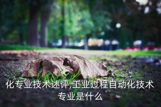 自動化專業(yè)技術(shù)述評,工業(yè)過程自動化技術(shù)專業(yè)是什么