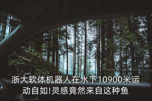 浙大軟體機(jī)器人在水下10900米運(yùn)動(dòng)自如!靈感竟然來自這種魚